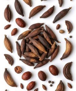 Le Jujube ou Djidjim