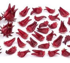 HIBISCUS
